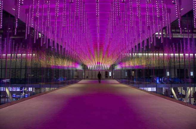 샌프란시스코 겨울 빛의 축제