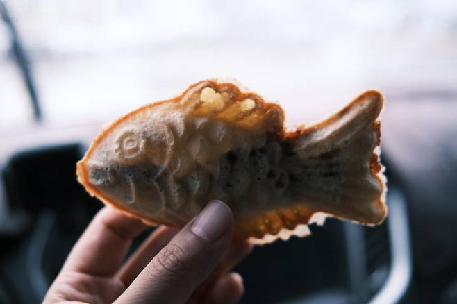 연합뉴스