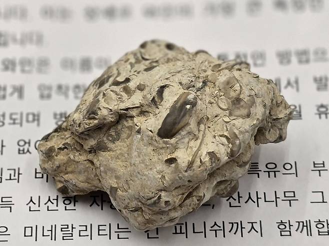 트레 블랑쉐. 최현태 기자