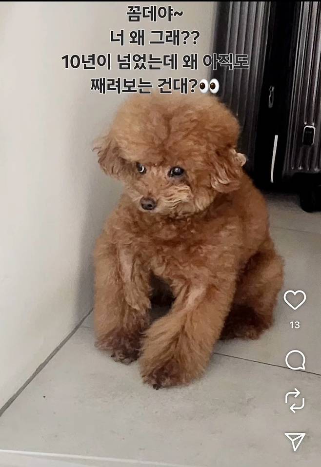 온라인 커뮤니티.