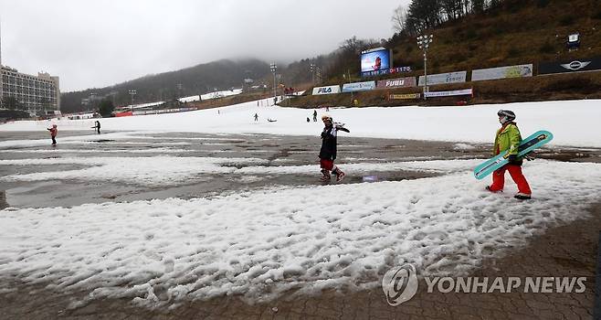 비 오는 포근한 휴일…스키장은 울상 [연합뉴스 자료사진]