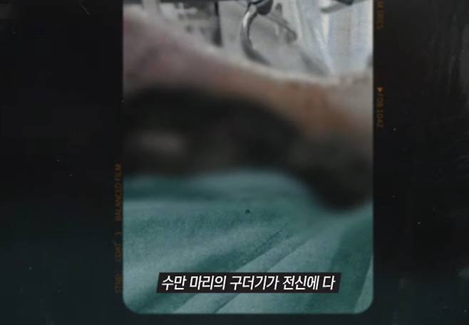 '그것이 알고 싶다'