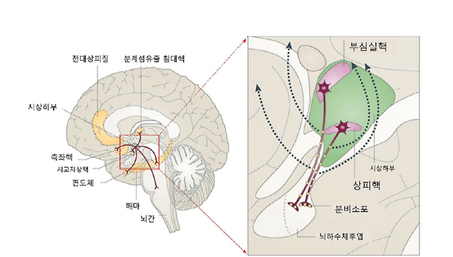 모성애 없는 엄마들의 변명-'나만 이상한 건 아니었구