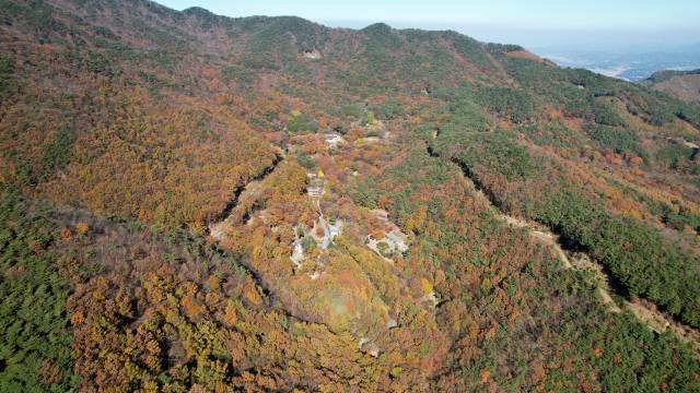 국립오서산자연휴양림