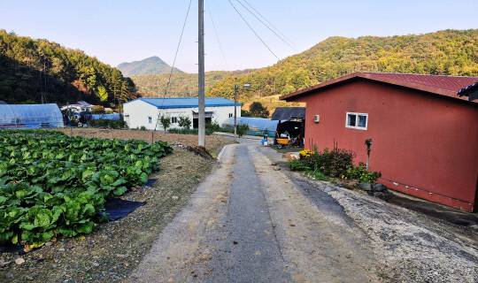 신석구 애국지사가 태어난 충청북도 청원군 미원면 금관리 마을. 김재근 선임기자