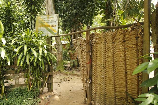 열대나무인 바바수 잎으로 만든 지붕과 대문의 모습이다. 어린이과학동아 제공