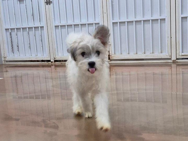 사람을 좋아하고 활달한 성격의 결이. 팅커벨프로젝트 제공