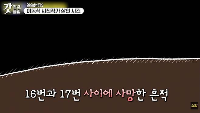 /사진=tvN '알아두면 쓸데있는 범죄 잡학사전 - 알쓸범잡 시즌2' 방송화면 캡처