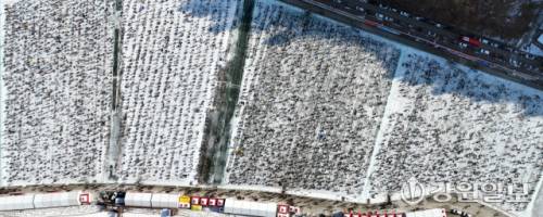 ◇대한민국 대표 겨울축제인 2026 얼음나라 화천산천어축제가 내년 1월10일부터 2월1일까지 화천천 일대에서 열린다. 사진은 2025년 1월 산천어축제 얼음낚시터를 가득 메운 관광객.