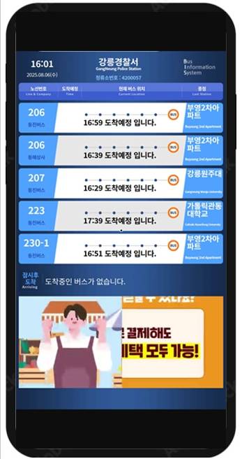 ◇강릉시가 대중교통 이용 편의성을 높이기 위해