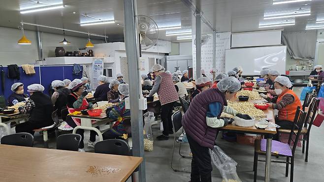 지난 11월 27일 충북 청주 육거리 시장에 소재한 '일하는 밥퍼' 현장에서 노인들이 마늘을 다듬고 있다. /윤희훈 기자