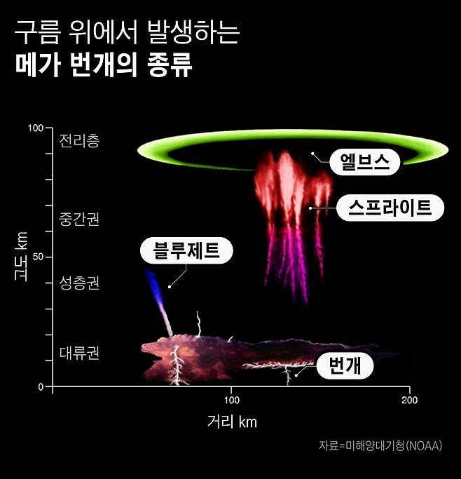 그래픽=손민균