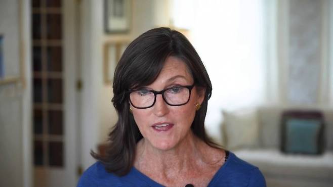 캐시 우드 CEO.  사진=연합뉴스