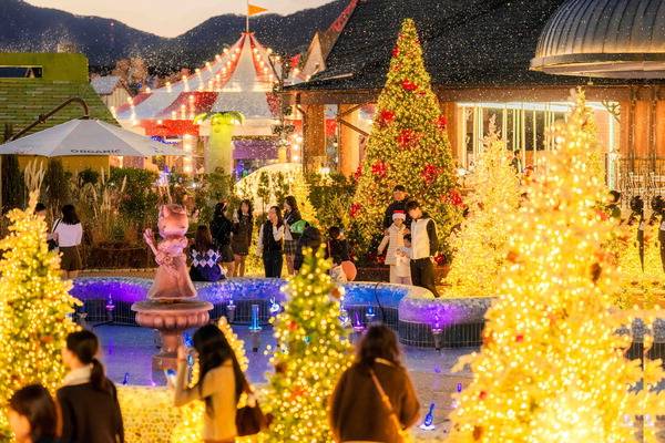 다가오는 크리스마스와 연말을 맞아 기장군 롯데월드 어드벤처 부산에서는 겨울 시즌 축제‘미라클 윈터 포레스트’가 한창이다. 15일 로얄가든 광장에 조성된 40개의 트리를 배경으로 방문객들이 기념 사진을 촬영하고 있다.  롯데월드 부산 제공