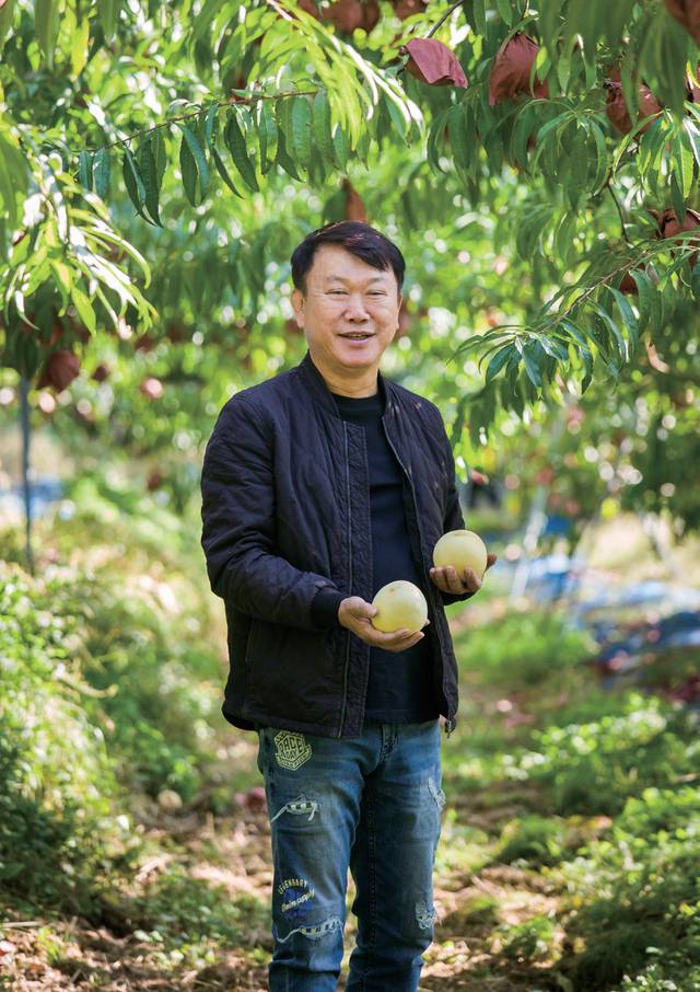 설아 복숭아 재배 농업인 이신용 씨.