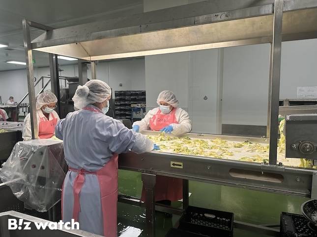대상푸즈USA가 운영하는 대상 LA 김치 공장에서 직원들이 배추를 살펴보고 있다./사진=정혜인 기자 hij@