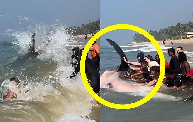 사진=@surferboy_varkala