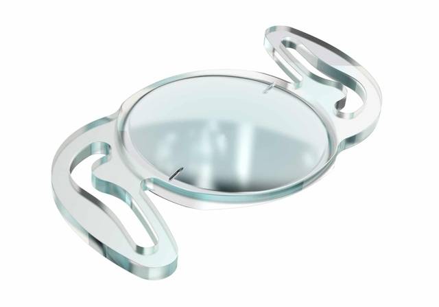 사진 제공= 레이너(Rayner)