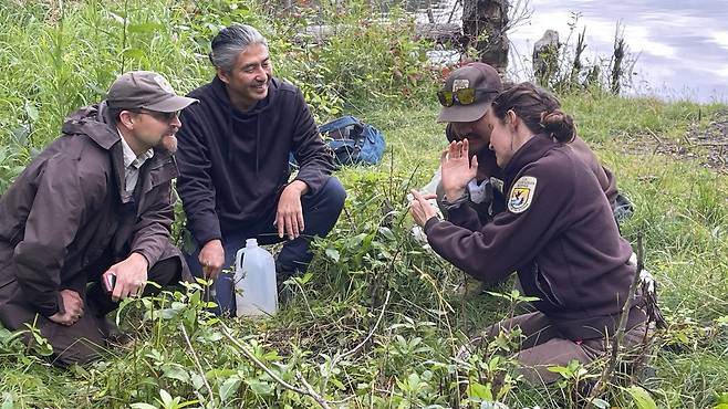 유경수 미국 미네소타대학교 트윈시티스 토양학과 교수(왼쪽에서 두번 째)가 2024년 8월 알라스카 키나이 야생생물 보호 구역에서 생물학자들에게 겨자 칵테일을 이용한 지렁이 채취를 시연한 뒤 이야기를 나누고 있다. 유 교수 제공
