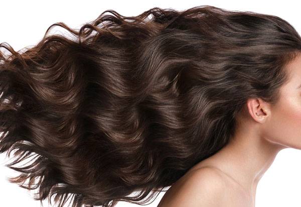 사진=클립아트코리아