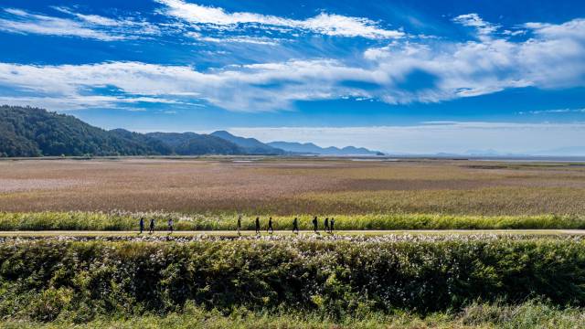 순천 남파랑길을 걷고 있는 여행객들. 대한민국 대표 치유도시로 떠오르고 있는 전남 순천이 단순 방문 위주의 관광에서 벗어나 체류형 관광·힐링도시로의 전환을 본격화하면서 이제 ‘하루 이상 머무는 여행지’로 확실한 변화를 만들어가고 있다. 사진 제공=순천시