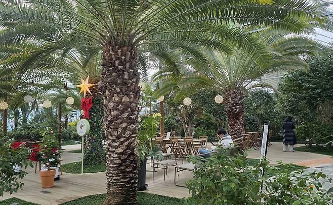 왕궁 포레스트 식물원