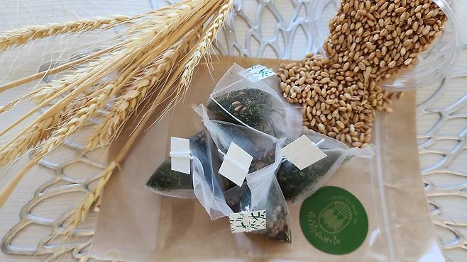 밀새싹힐링팜 밀새싹 차 만들기