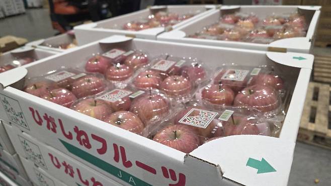 11월 26일 일본 도쿄도 고토구에 있는 도요스 중앙 도매시장 청과동 내 소포장된 사과. /사진=이은지 기자