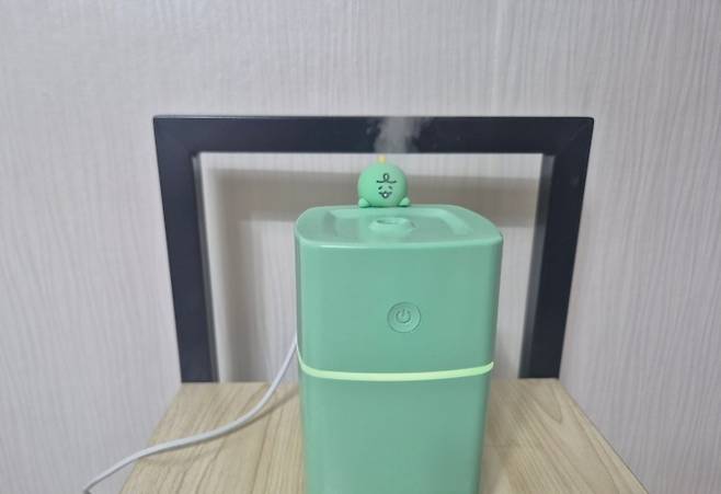 가습기 사용으로 인한 에너지 절약 실천.