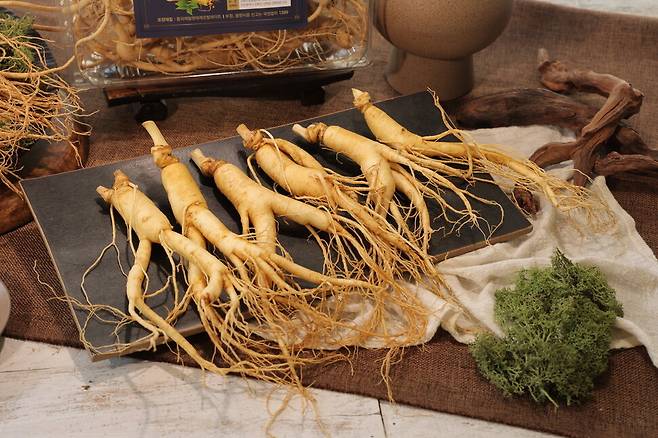 다양한 연구에서 인삼 속 사포닌 성분이 중추신경 억제, 단백질 합성 촉진, 인슐린 유사 작용, 해독 작용, 항염증, 혈소판 응집 억제 등의 기능을 한다고 확인됐다. 농협경제지주 제공