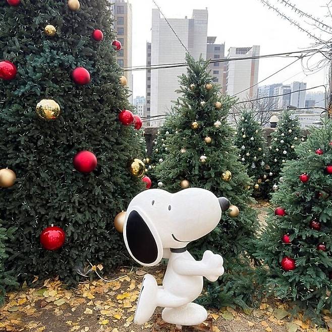 Christmas trees installed at a pop-up between J.Tree and Peanuts in Jongno District, central Seoul. [SCREEN CAPTURE]