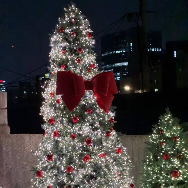 Christmas trees installed at a pop-up between J.Tree and Peanuts in Jongno District, central Seoul. [SCREEN CAPTURE]