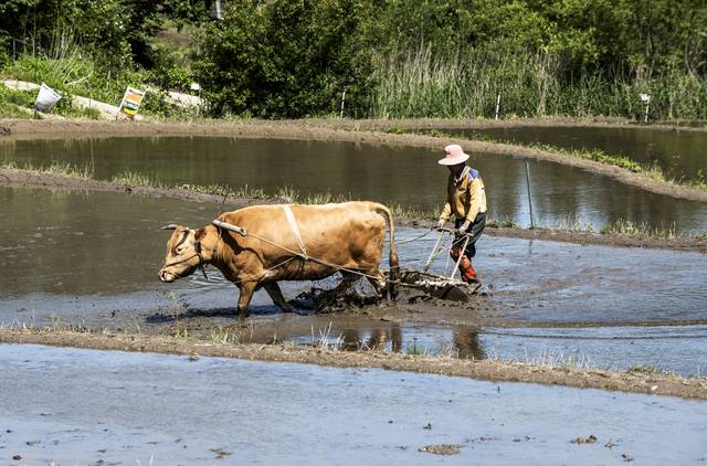 게티이미지뱅크