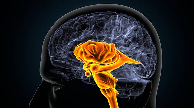 [게티이미지뱅크]