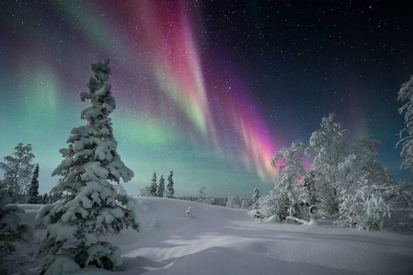 노스웨스트준주 오로라 / ⓒNorthwest Territories Tourism_Adam Hill