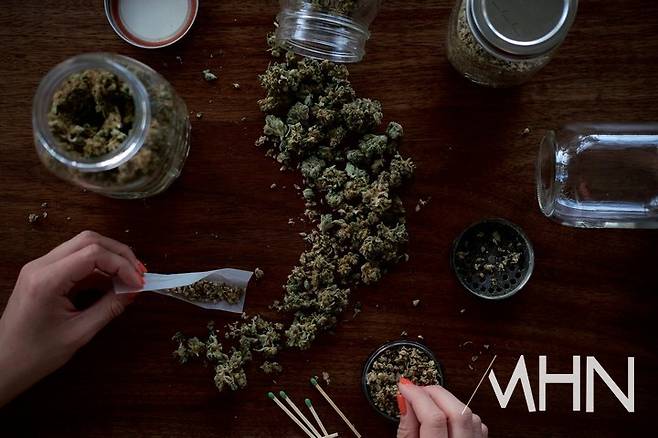 (대마초 | 사진=unsplash 제공)