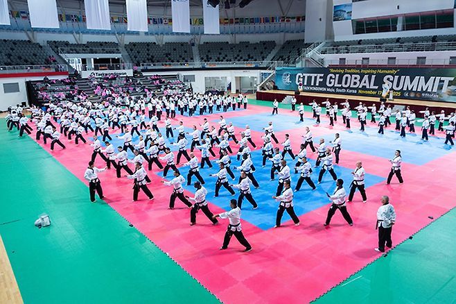 글로벌 싱크 탱크 서밋 2025 참가자들이 태권도원 T1 경기장에서 수련하고 있다. 사진=태권도진흥재단
