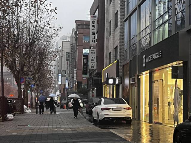 16일 겨울비가 내리는 가운데 서울 강남구 도곡로 일대 골프 관련 매장들이 모여 있는 ‘골프 로데오 거리’가 한산한 모습. 노현영 기자