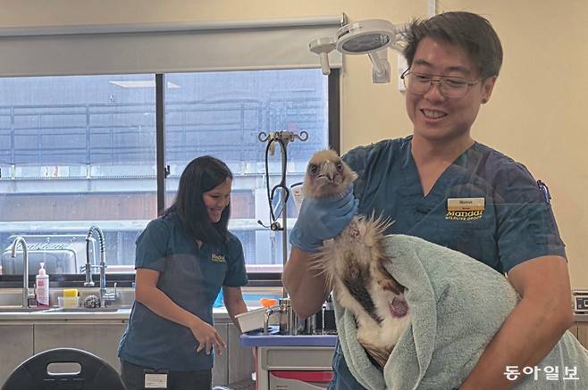 싱가포르 동물원 내 야생동물 헬스케어 연구센터에서 의료진들이 부상당한 동물들을 돌보고 있다.