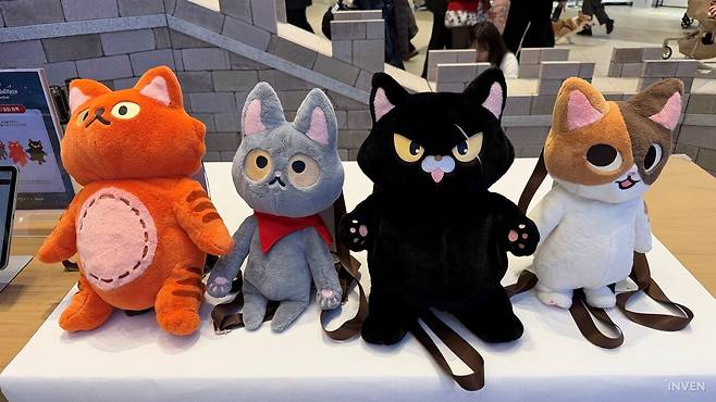 ▲ 미리 만나볼 수 있었던 고양이 가방