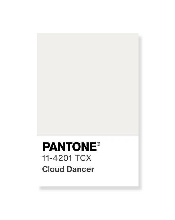 팬톤 컬러 연구소가 ‘2026년 올해의 컬러’로 선정한 ‘클라우드 댄서’ 컬러 칩. [사진 팬톤 컬러 연구소]