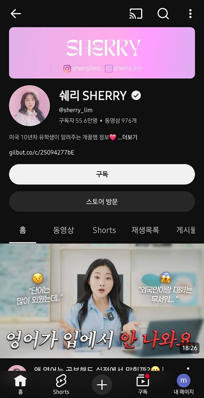 쉐리 유튜브 채널. 본인제공, 유튜브 캡처