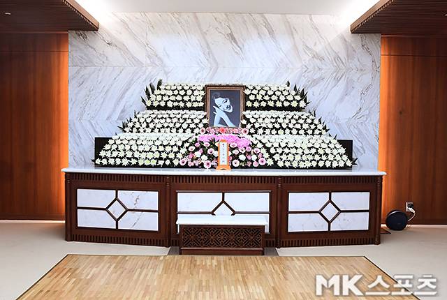 사진 =사진공동취재단