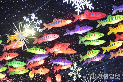 ◇화천의 겨울축제 시즌 개막을 알리는 2026 얼음나라 화천산천어축제 선등거리 점등식이 20 화천읍 중앙로 일대에서 김진태 지사, 신경호 교육감, 최문순 군수, 류희상 군의장, 김진호 7사단장, 임승규 15사단 작전부사단장 등이 참석한 가운데 열렸다. 사진은 불 밝힌 선등거리