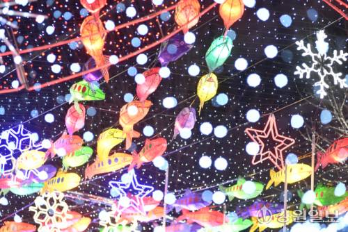 ◇화천의 겨울축제 시즌 개막을 알리는 2026 얼음나라 화천산천어축제 선등거리 점등식이 20 화천읍 중앙로 일대에서 김진태 지사, 신경호 교육감, 최문순 군수, 류희상 군의장, 김진호 7사단장, 임승규 15사단 작전부사단장 등이 참석한 가운데 열렸다. 사진은 불 밝힌 선등거리