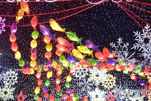 ◇화천의 겨울축제 시즌 개막을 알리는 2026 얼음나라 화천산천어축제 선등거리 점등식이 20 화천읍 중앙로 일대에서 김진태 지사, 신경호 교육감, 최문순 군수, 류희상 군의장, 김진호 7사단장, 임승규 15사단 작전부사단장 등이 참석한 가운데 열렸다. 사진은 불 밝힌 선등거리