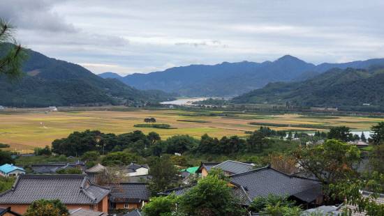 최참판댁에서 바라본 평사리 들판과 부부송. 멀리 섬진강이 함께 보인다.