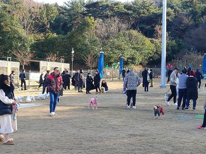 창원시 제공