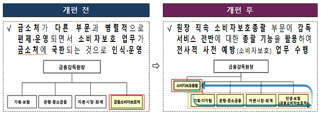[자료=금융감독원]