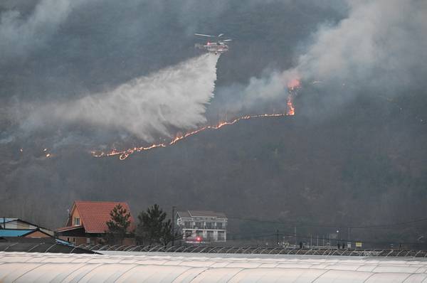 산청군 시천면에서 시작된 산불이 2025년 3월 22일 산청군 단성면 자양리와 하동군 옥종면 두양리 경계지점까지 번졌다. 이날 오후 헬기가 물을 뿌리고 있다. /경남도민일보 DB